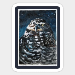 Night Owl is a HOOT! Sticker